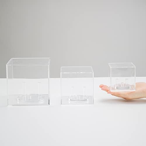 Clear Acrylic Mineral Geode Fossil Coral Display Box