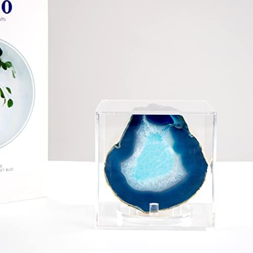 Clear Acrylic Mineral Geode Fossil Coral Display Box