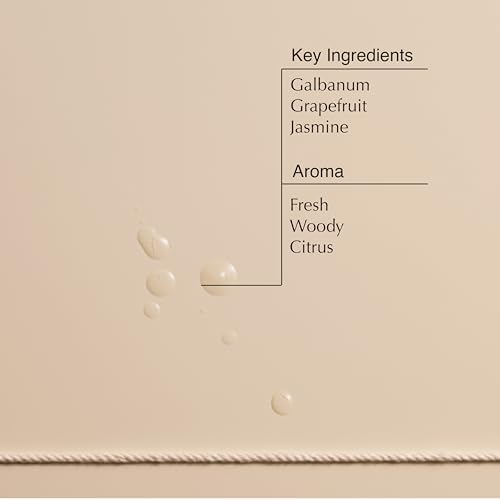 Aesop Olous Aromatique Room Spray 34 Oz