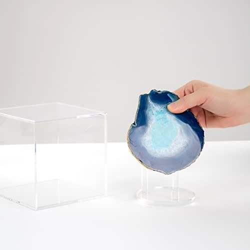 Clear Acrylic Mineral Geode Fossil Coral Display Box
