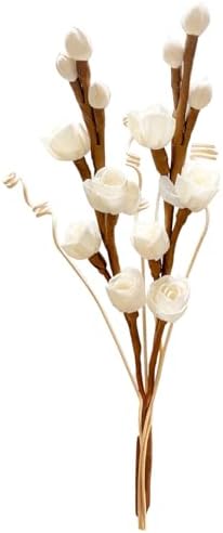 Project Wine Reed Diffuser Sticks with Dried Flowers