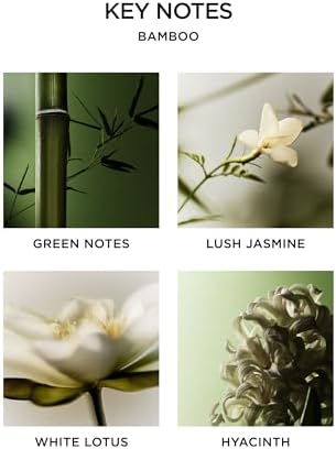 NEST New York Reed Diffuser with 8 Rattan Sticks