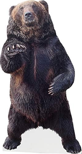 Aahs Engraving Bear Life Size Cardboard Cutout Stand