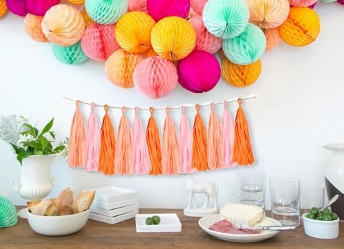 Pink and Orange Tissue Tassel Garland Decor Set