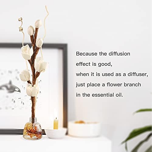 Project Wine Reed Diffuser Sticks with Dried Flowers