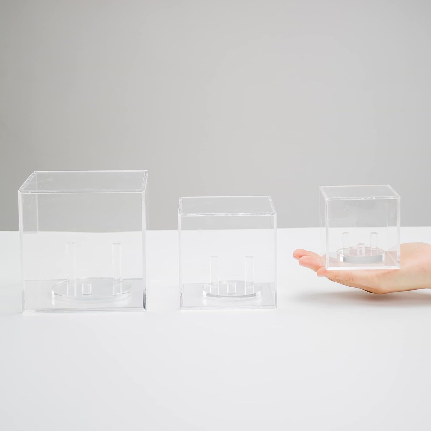 Clear Acrylic Mineral Geode Fossil Coral Display Box