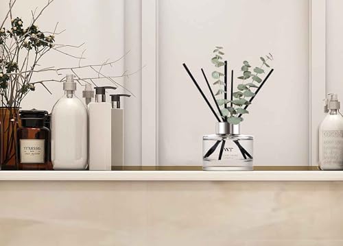 Wild Eucalyptus Mint Reed Diffuser Set