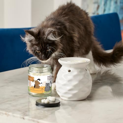 Pet Odor Eliminator Unscented Wax Melts for Home