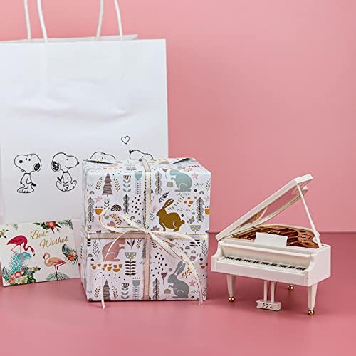 Piano Music Box Wind Up Musical Box for Girls Birthday Gift