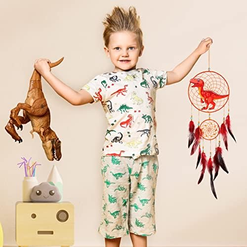 Basumee Dinosaur Dream Catcher for Kids Wall Hanging