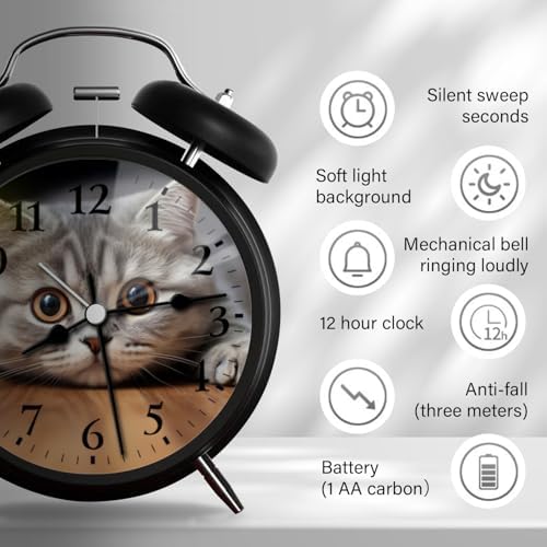 Analog Alarm Clock with Night Light and Silent Movement