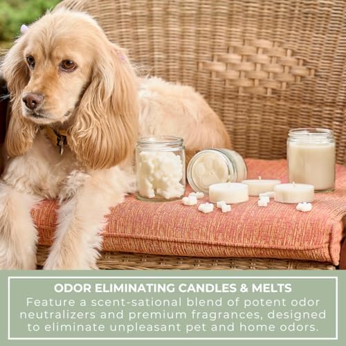 Pet Odor Eliminator Unscented Wax Melts for Home