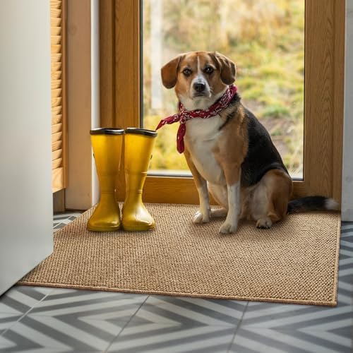 Softlife 2x3 ft Entryway Door Mat Brown