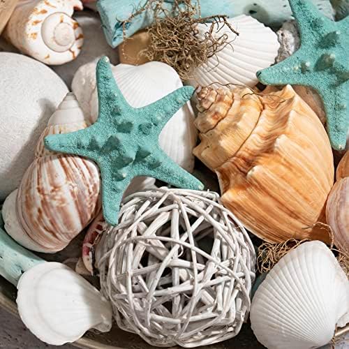 ANDALUCA Ocean Plumes Scented Seashell Potpourri 20 oz Bag
