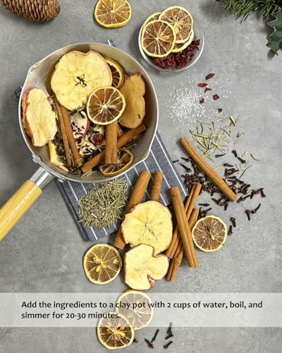 Apragaz Simmer Pot Set for Home Fragrance