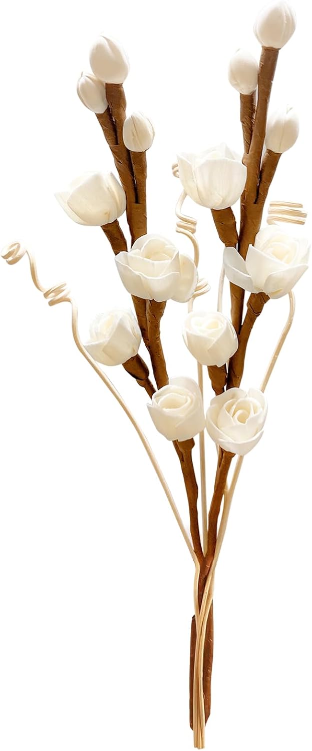 Project Wine Reed Diffuser Sticks with Dried Flowers