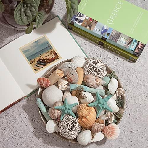 ANDALUCA Ocean Plumes Scented Seashell Potpourri 20 oz Bag