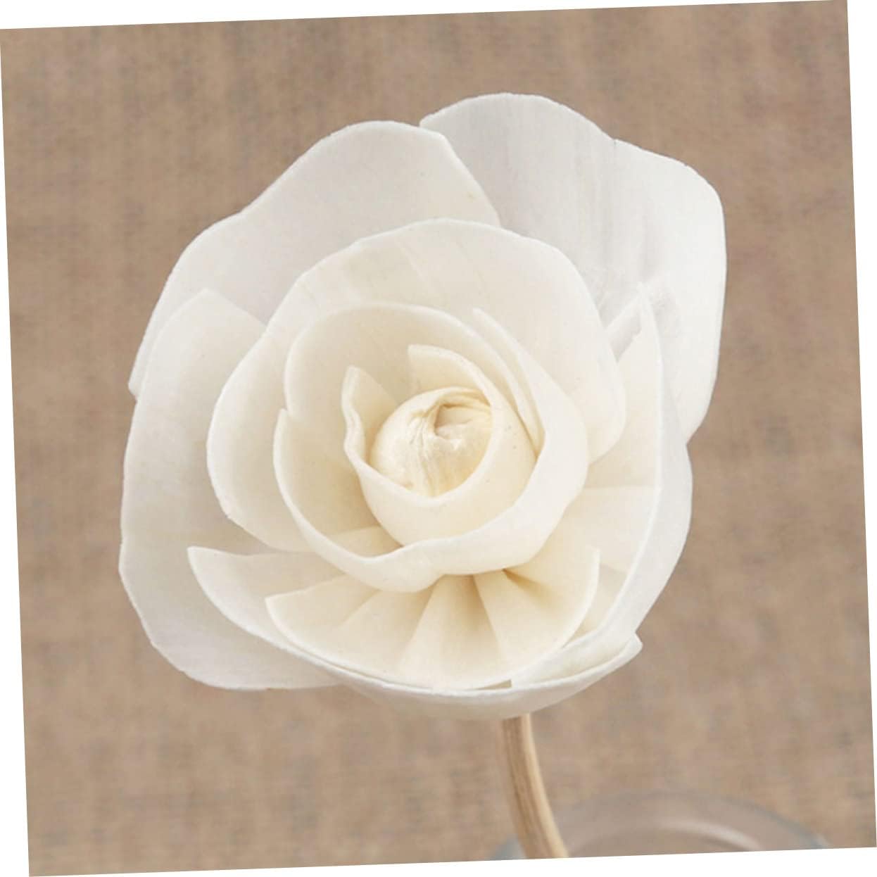 Mobestech 3Pcs Dried Flower Diffuser Sticks Natural Rattan Aromatherapy Decor