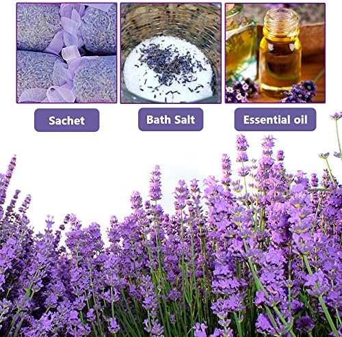 Jitejoe Dried Lavender Buds for Sachets and Candles 1 Pound Pack