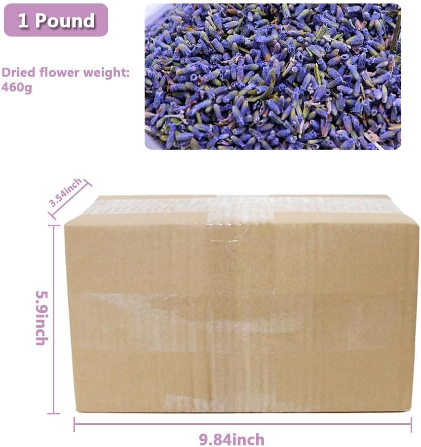 Jitejoe Dried Lavender Buds for Sachets and Candles 1 Pound Pack
