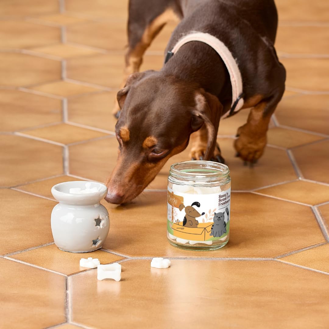 Pet Odor Eliminator Unscented Wax Melts for Home