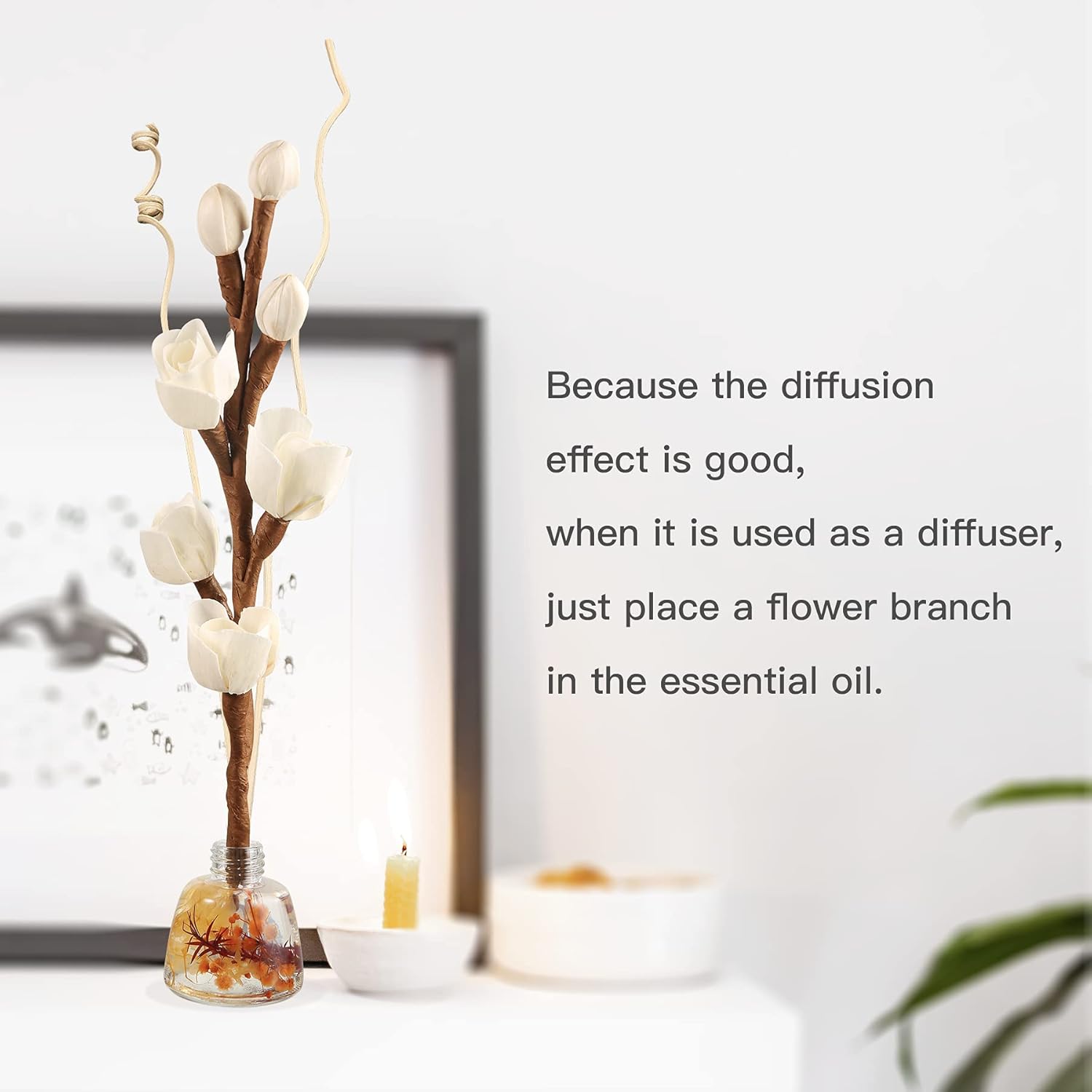 Project Wine Reed Diffuser Sticks with Dried Flowers