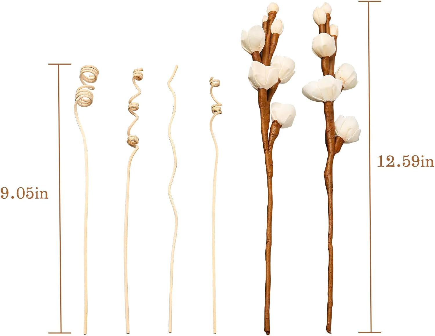 Project Wine Reed Diffuser Sticks with Dried Flowers