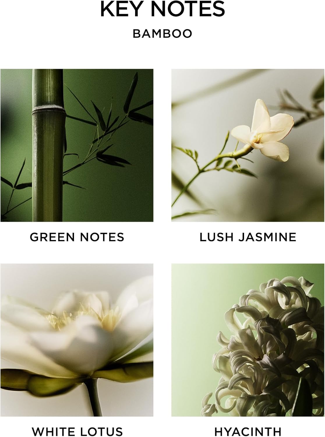 NEST New York Reed Diffuser with 8 Rattan Sticks