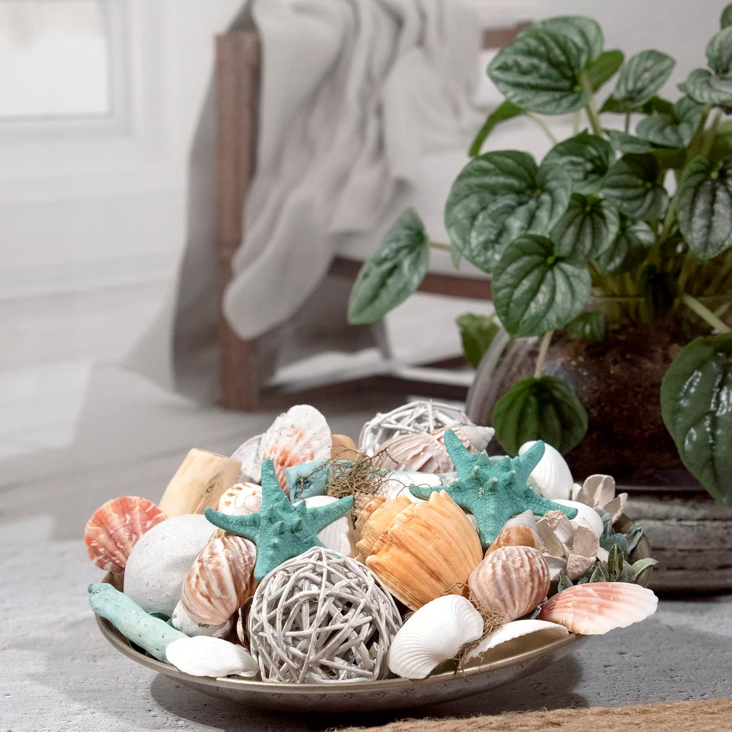 ANDALUCA Ocean Plumes Scented Seashell Potpourri 20 oz Bag