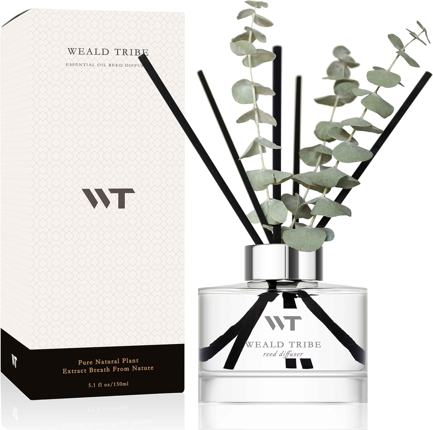 Wild Eucalyptus Mint Reed Diffuser Set