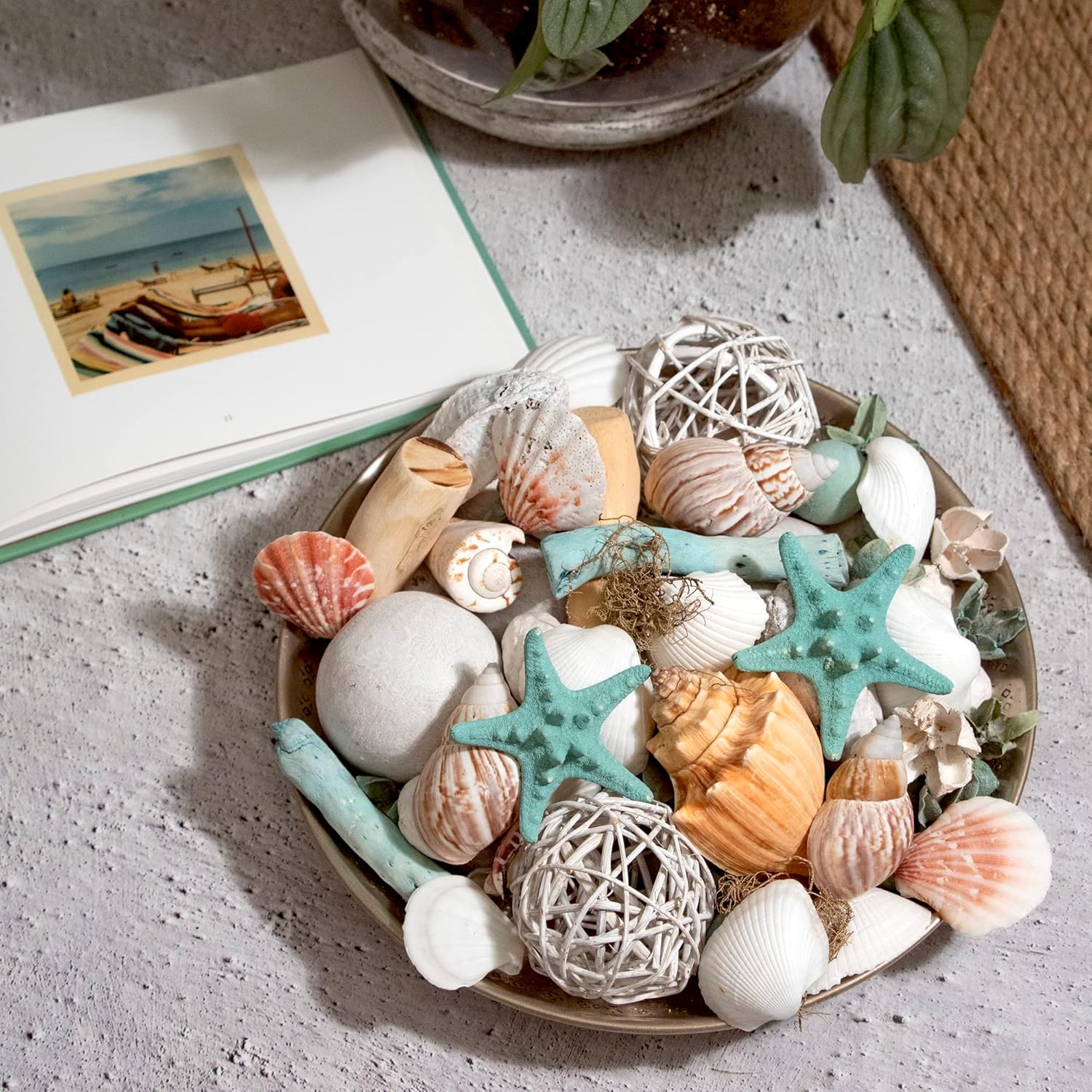 ANDALUCA Ocean Plumes Scented Seashell Potpourri 20 oz Bag