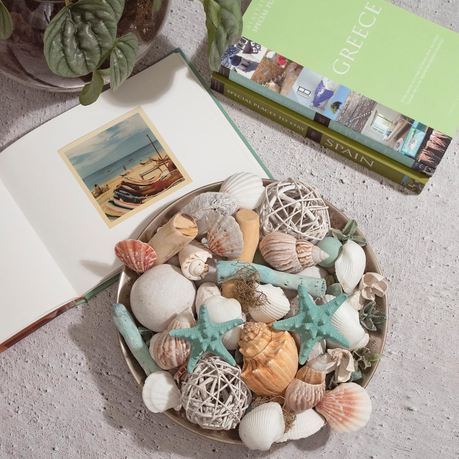 ANDALUCA Ocean Plumes Scented Seashell Potpourri 20 oz Bag