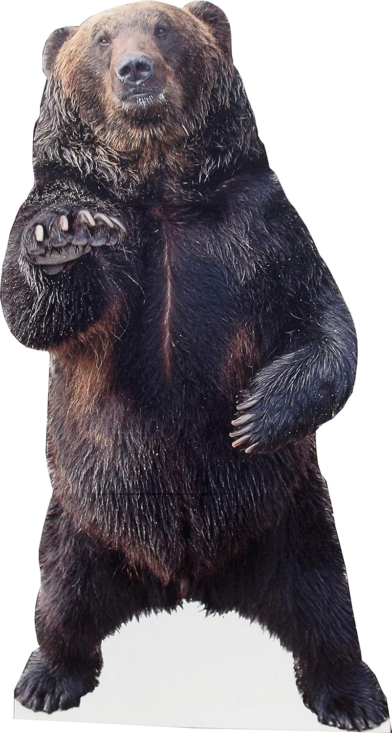 Aahs Engraving Bear Life Size Cardboard Cutout Stand