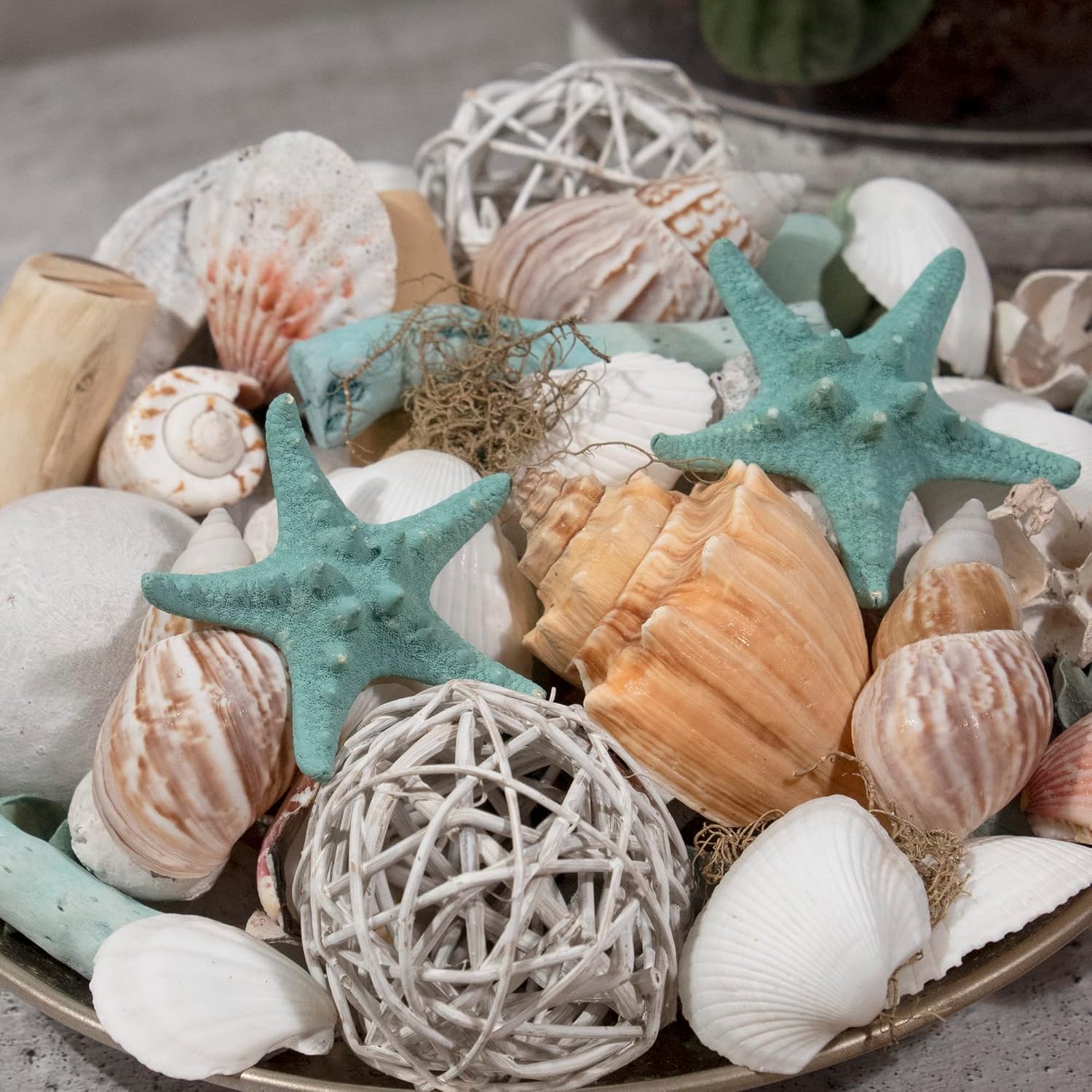 ANDALUCA Ocean Plumes Scented Seashell Potpourri 20 oz Bag