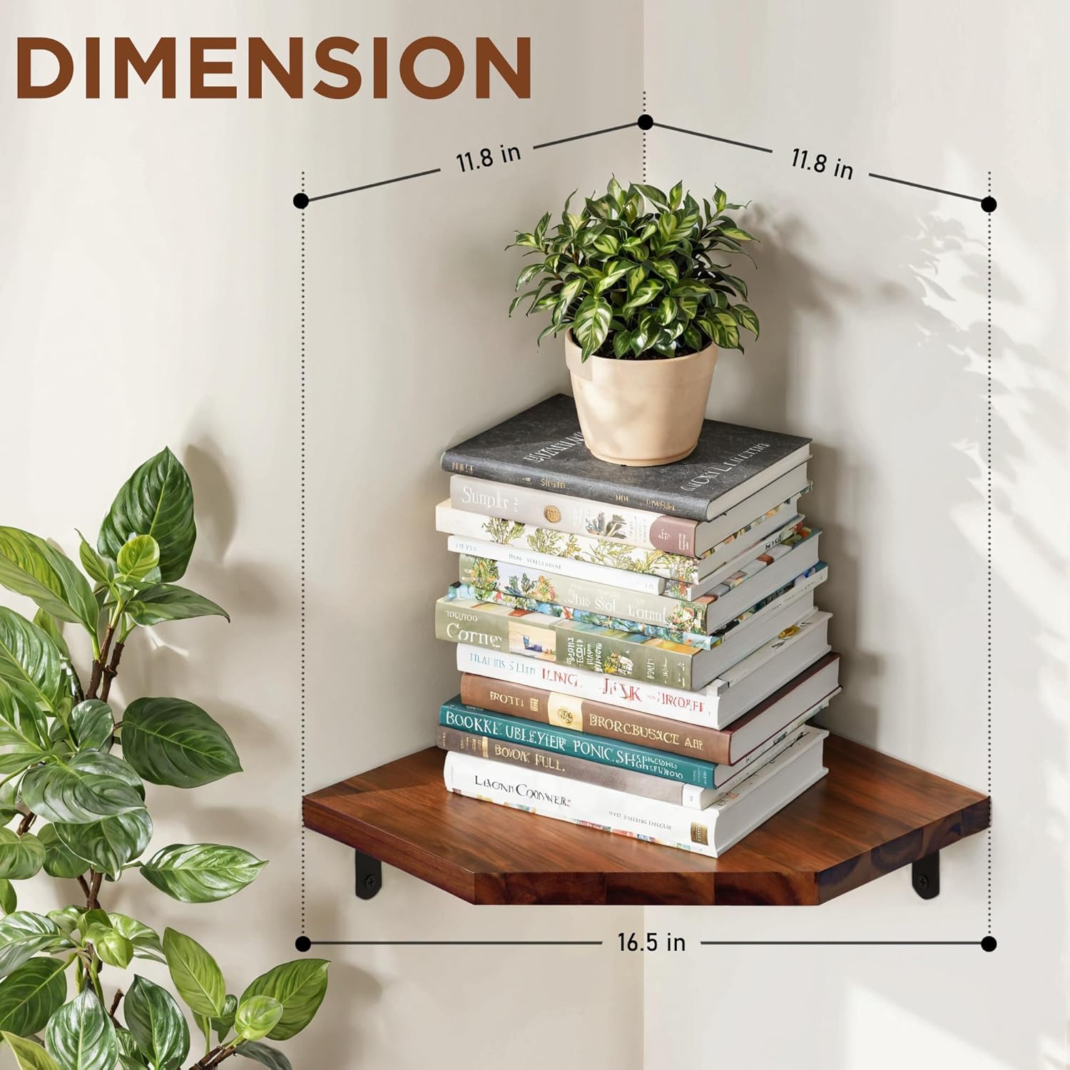 Demigo Corner Shelf Wall Mount Set of 2