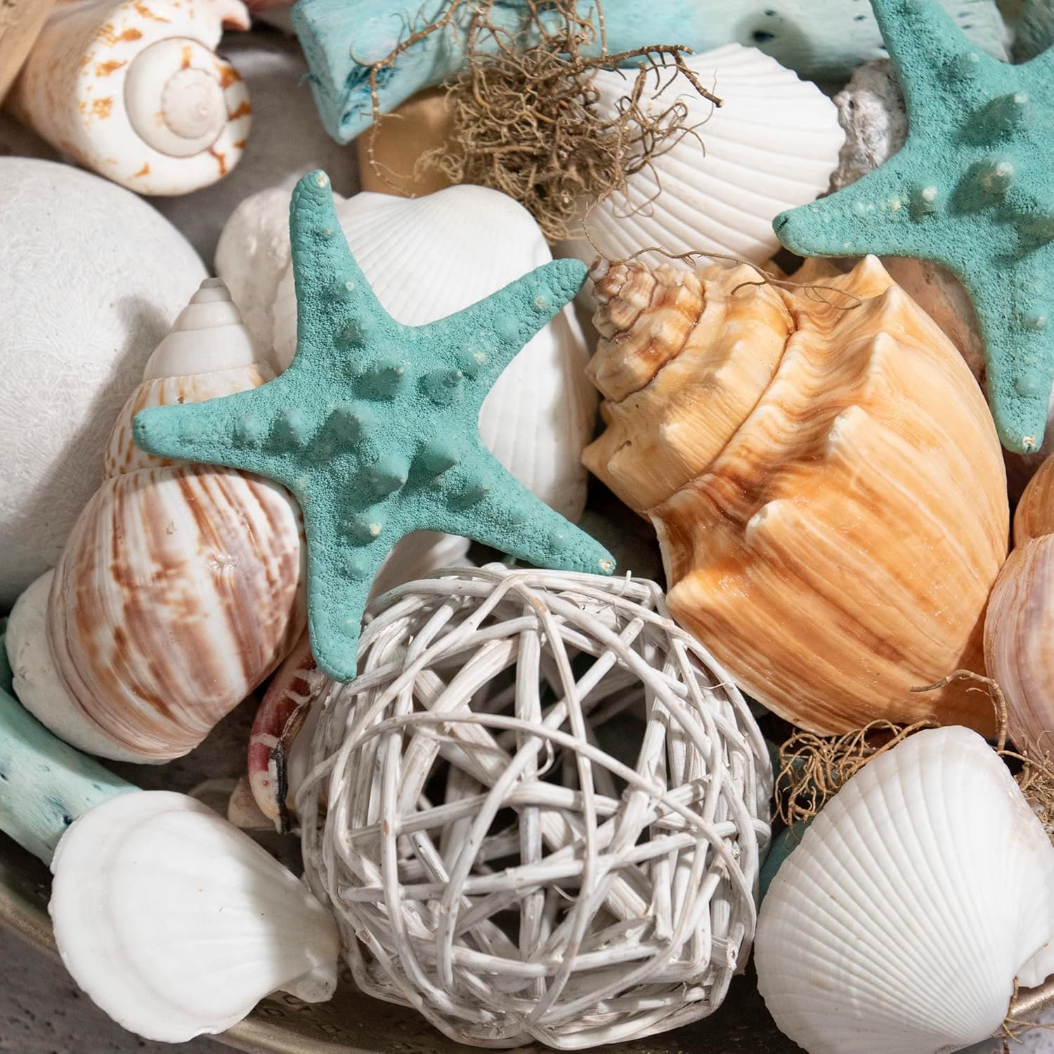 ANDALUCA Ocean Plumes Scented Seashell Potpourri 20 oz Bag