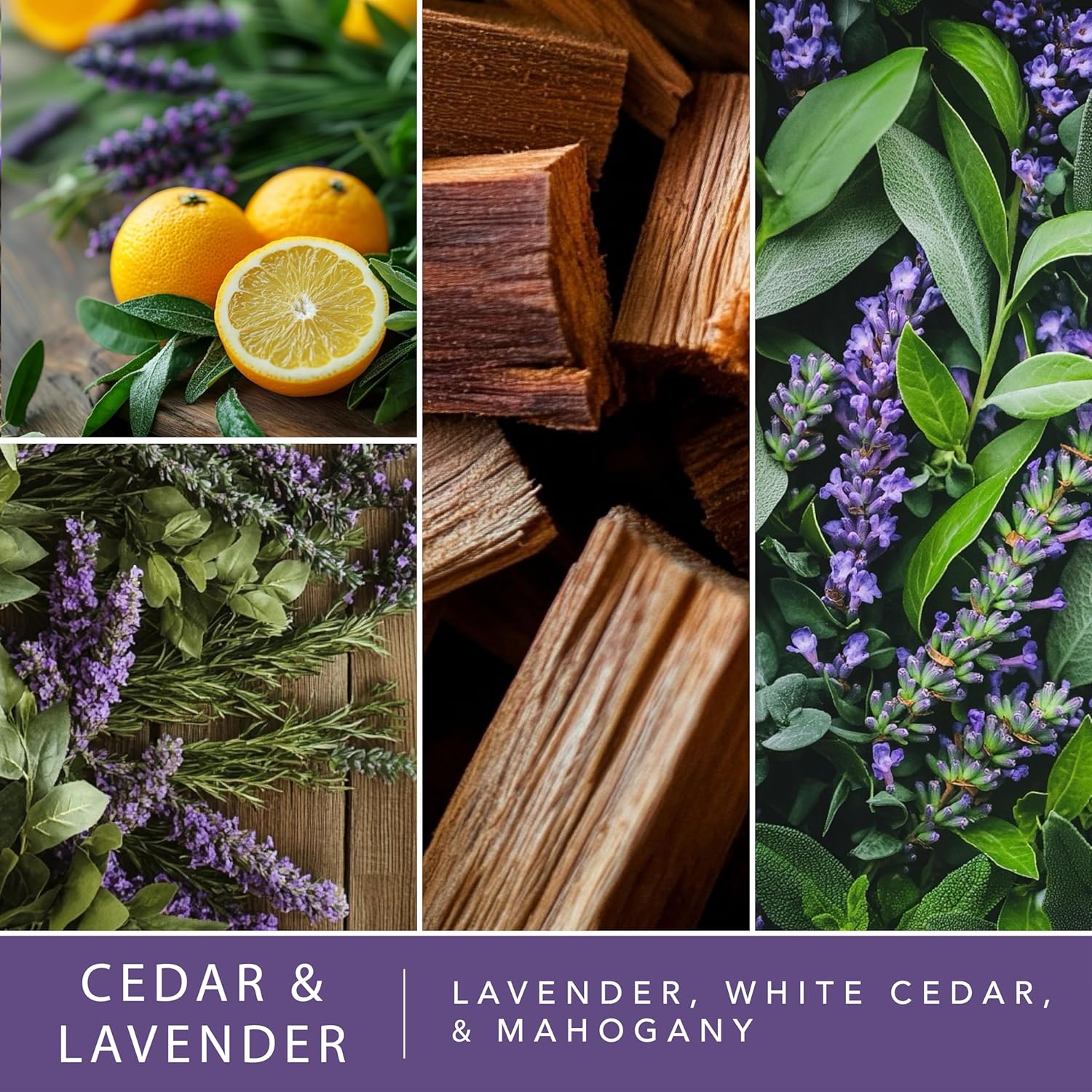 Scentsationals Wax Melts 24-Cubes Cedar Lavender Long Lasting