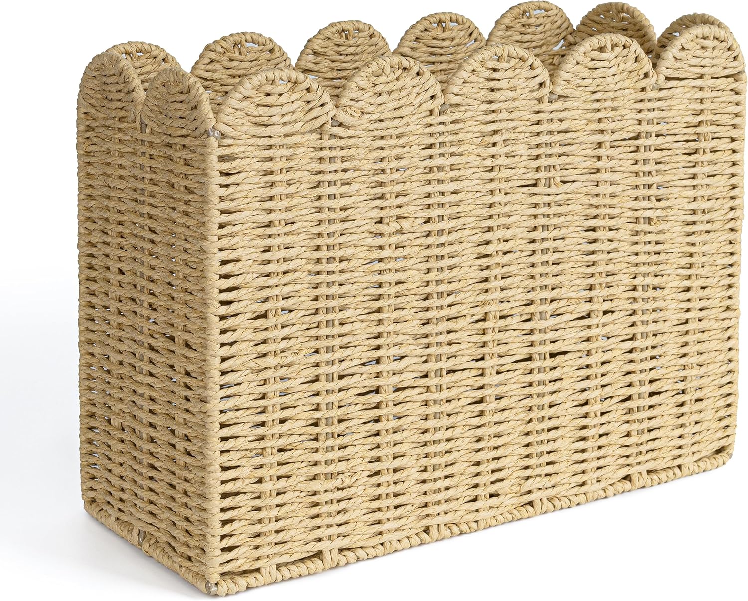AELS Woven Magazine Holder Floor Rack Book Basket