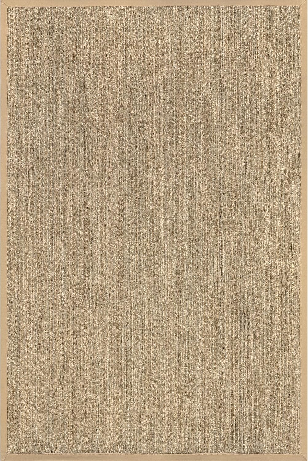 nuLOOM 2x3 Seagrass Area Rug in Beige