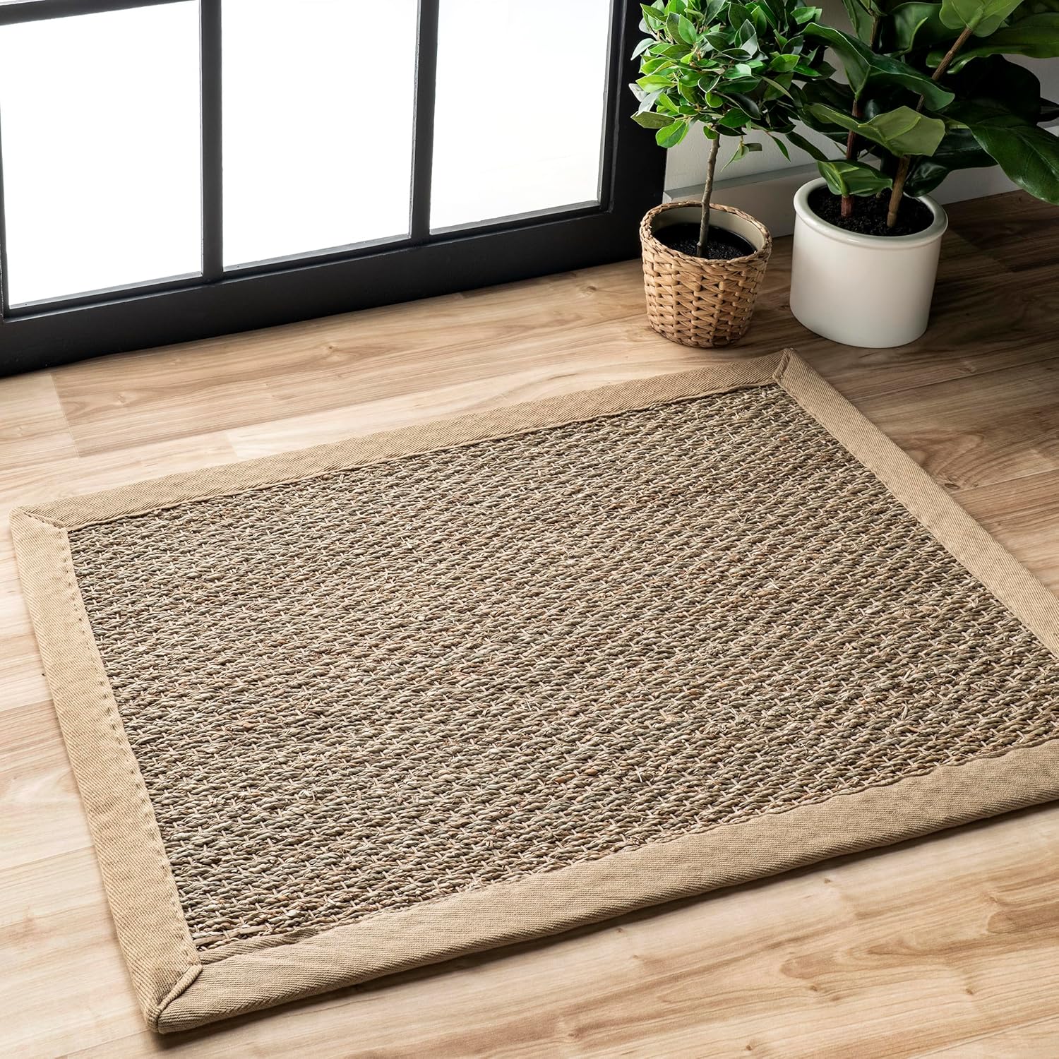 nuLOOM 2x3 Seagrass Area Rug in Beige